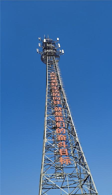 细胞分裂4