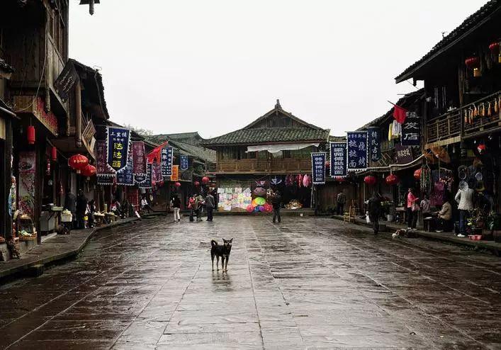 植物大战僵尸2